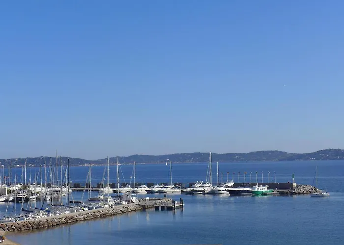 Les Dauphins-1 By Interhome Apartment Sainte-Maxime